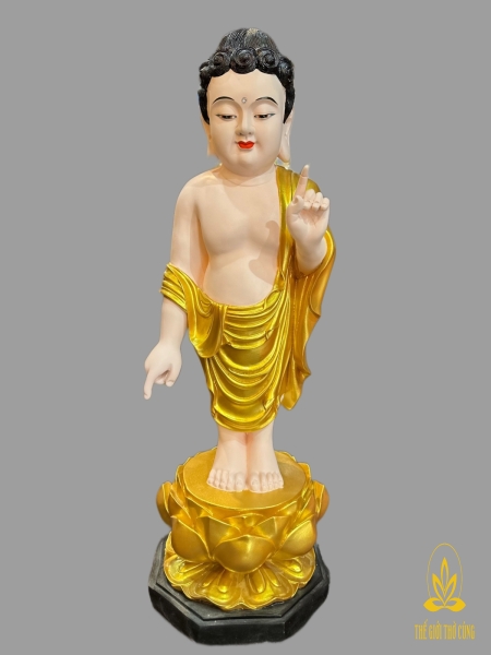 Đản Sanh poly chỉ tay